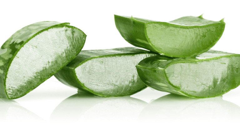 aloe vera benefici aloe vera proprietà aloe vera viso