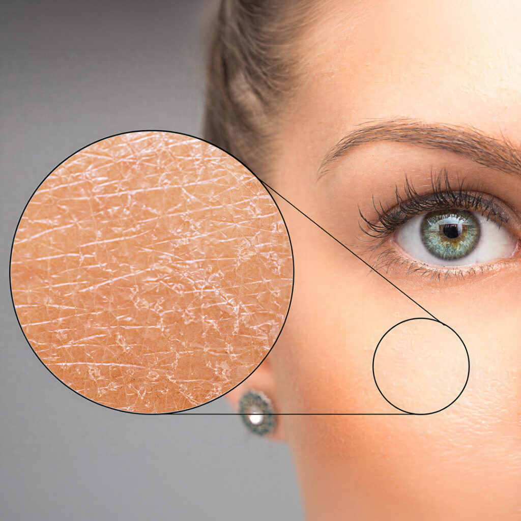 Servizi Reseller Analisi gratuita pelle a cura di Pavaglione Cosmetics